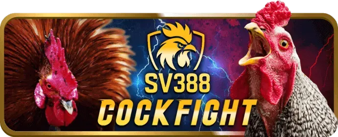 An toàn cá cược vv88